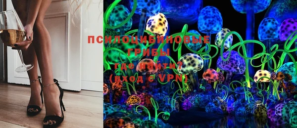 индика Навашино