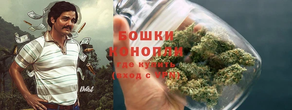 крисы Наволоки