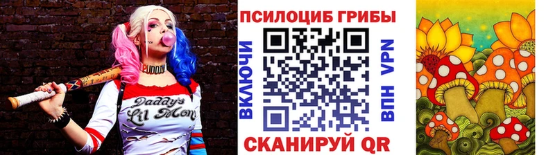 купить наркоту  Игра  Псилоцибиновые грибы Psilocybine cubensis 